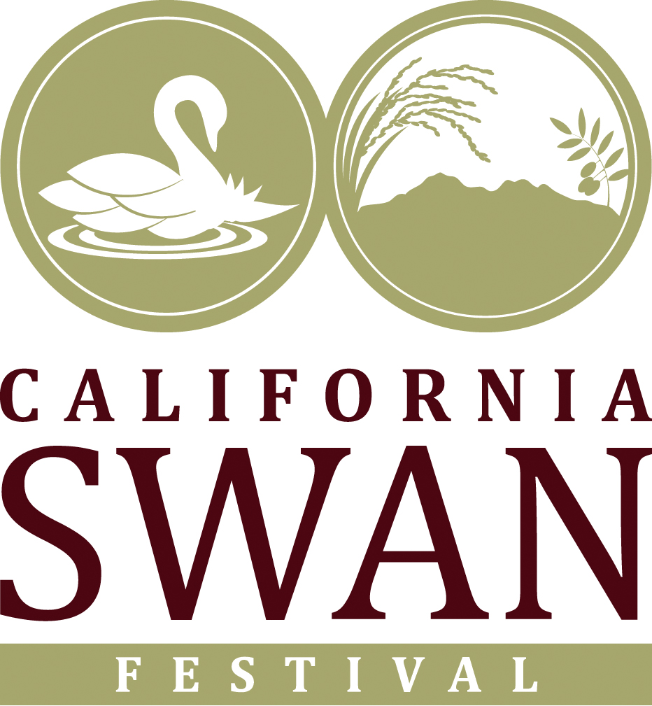 Swan Festival Logo